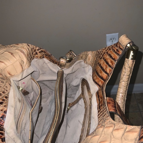 Brahmin - Picture 5 of 9